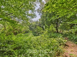 Llanfyrnach, SA35