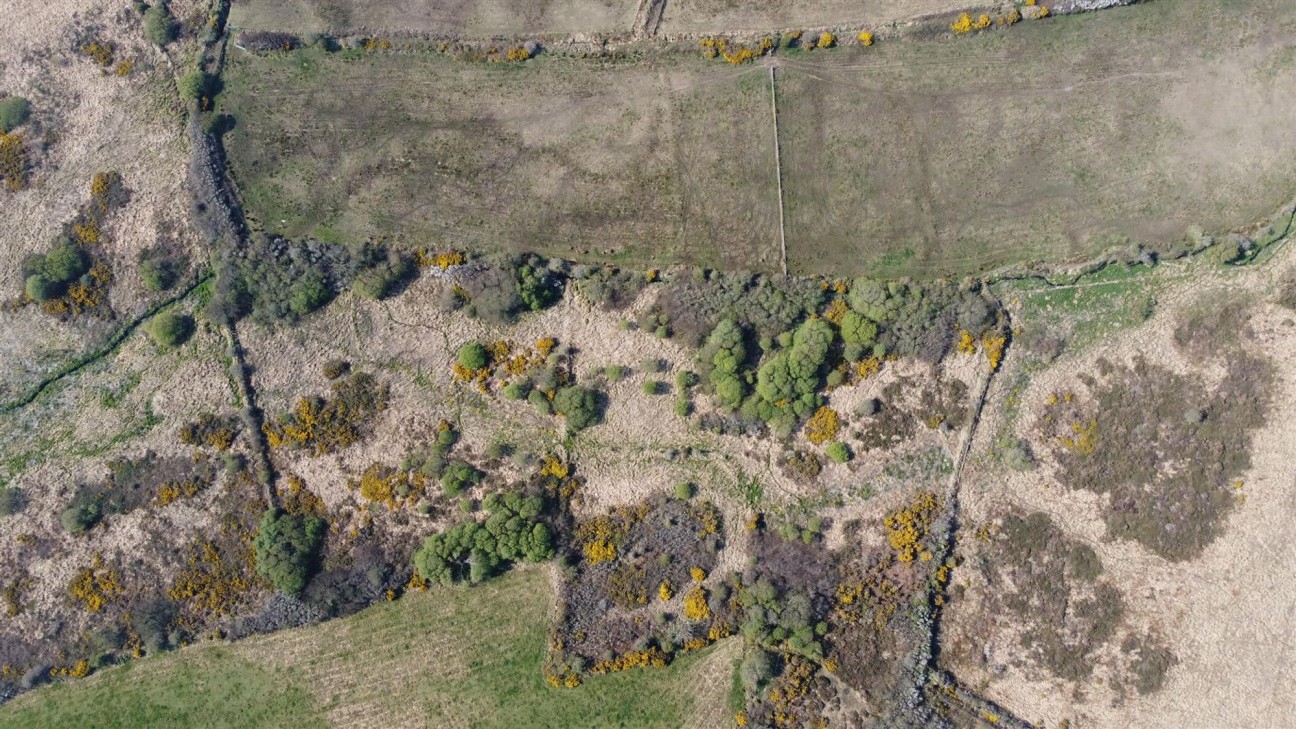 Carnhedryn, Solva, SA62