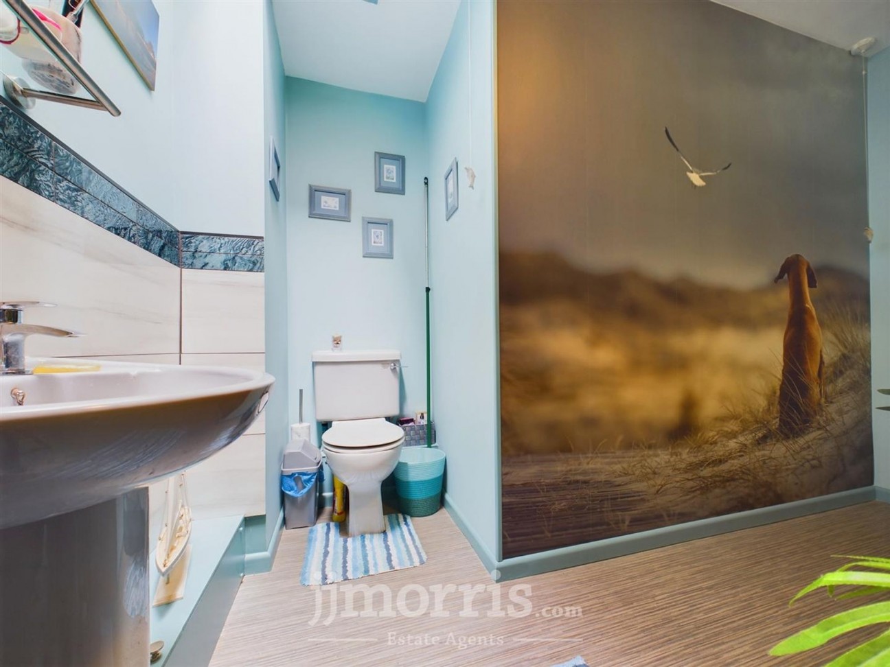 Pilot Street, St. Dogmaels, SA43