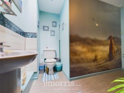 Pilot Street, St. Dogmaels, SA43