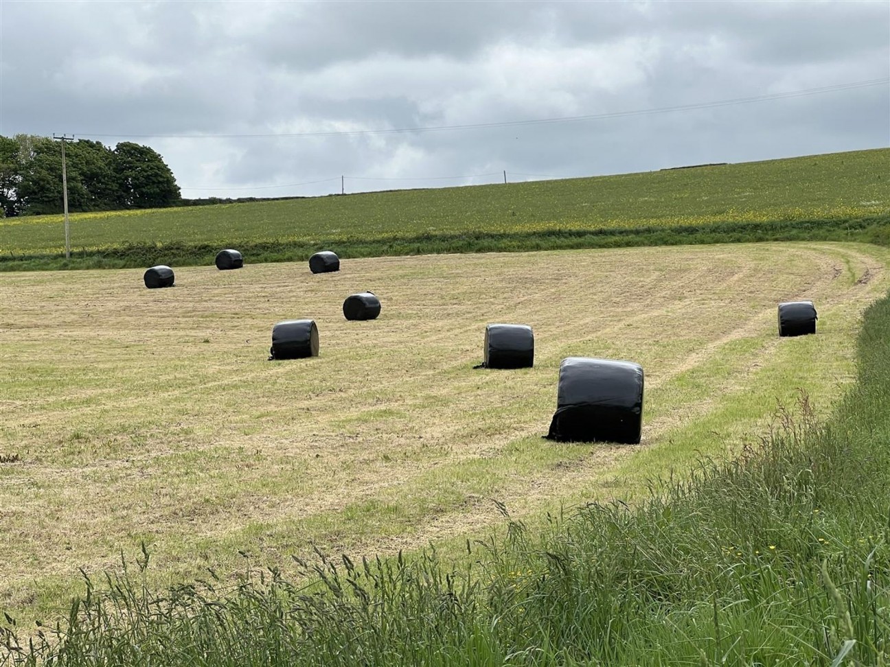 Castlemorris, Haverfordwest, SA62