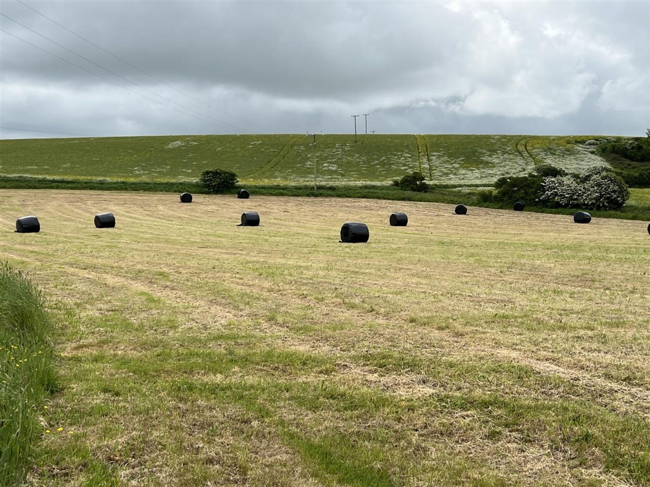 Castlemorris, Haverfordwest, SA62
