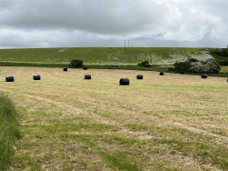 Castlemorris, Haverfordwest, SA62