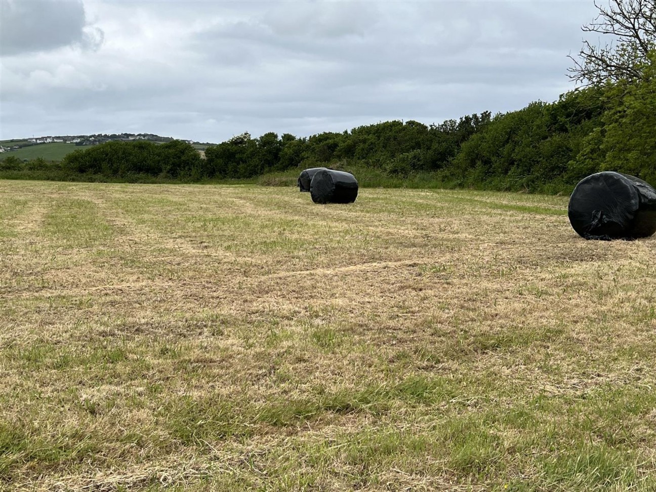 Castlemorris, Haverfordwest, SA62