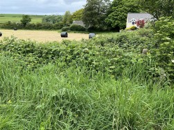 Castlemorris, Haverfordwest, SA62