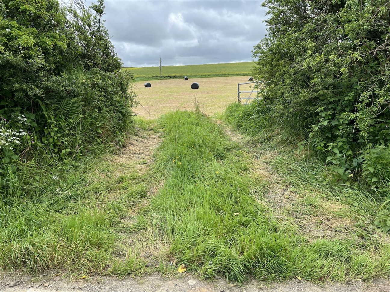 Castlemorris, Haverfordwest, SA62