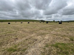 Castlemorris, Haverfordwest, SA62