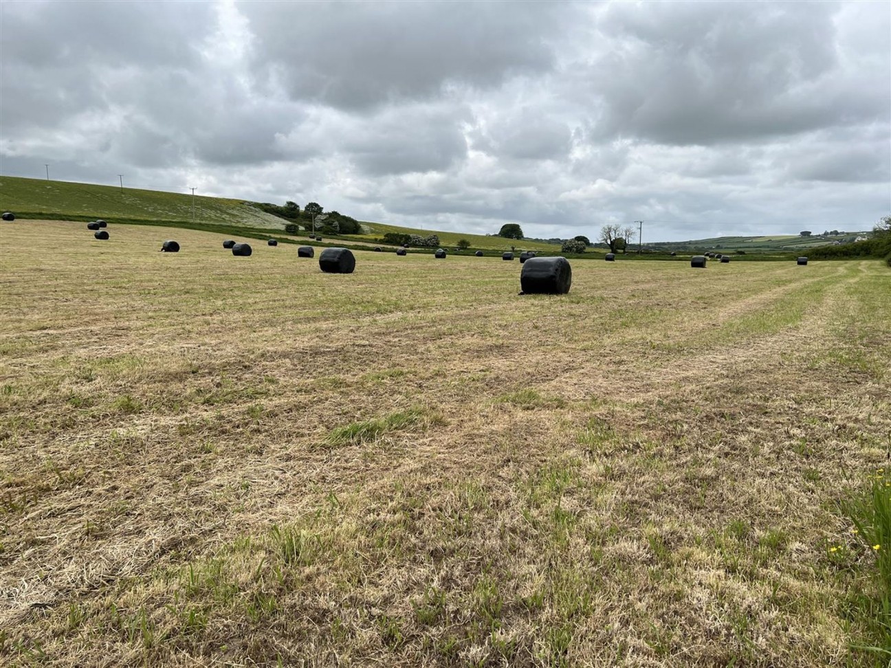 Castlemorris, Haverfordwest, SA62