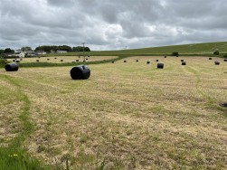 Castlemorris, Haverfordwest, SA62