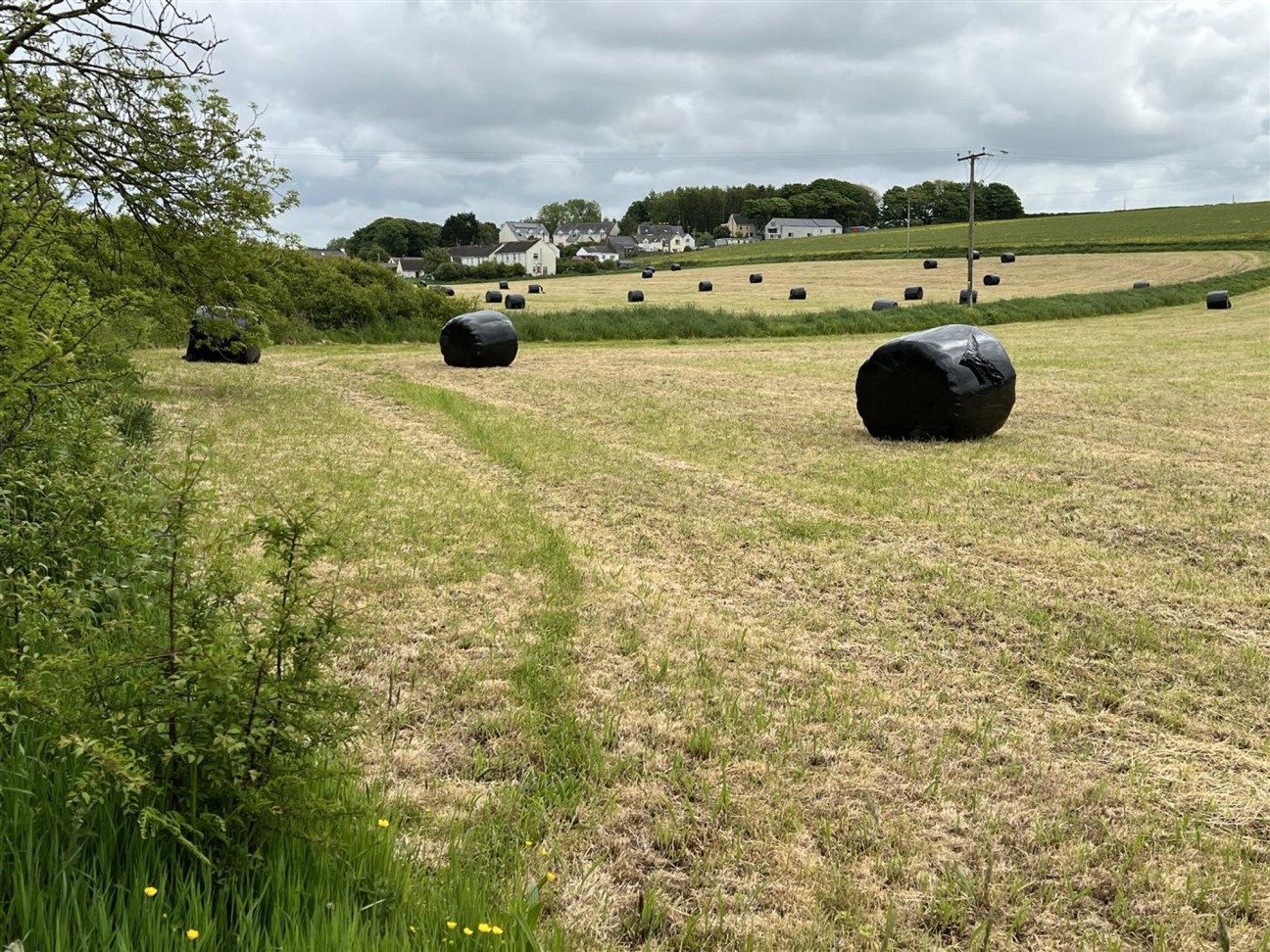 Castlemorris, Haverfordwest, SA62