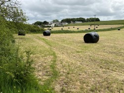 Castlemorris, Haverfordwest, SA62