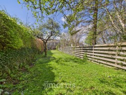 Upper St. Mary Street, Newport, SA42