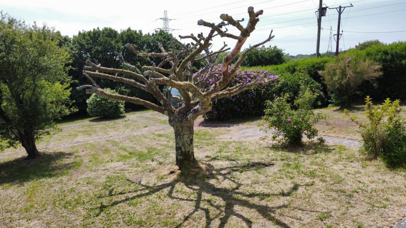 Trimsaran, Kidwelly, SA17