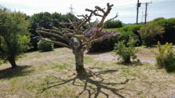 Trimsaran, Kidwelly, SA17