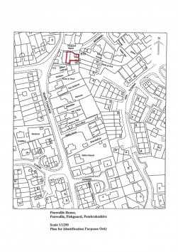 Pen Wallis, Fishguard, SA65