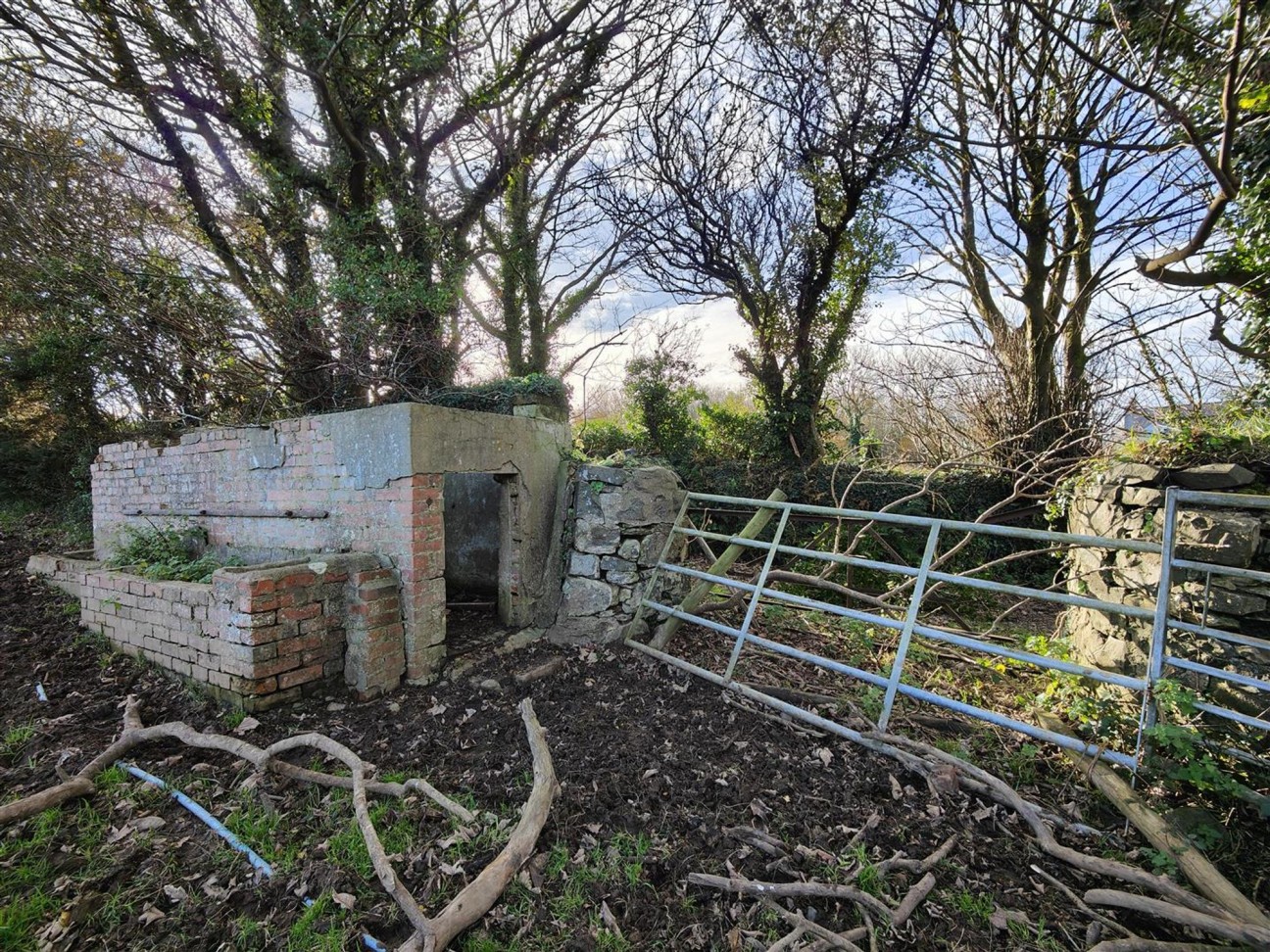 Castlemorris, Haverfordwest, SA62