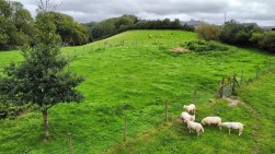 Meidrim, Carmarthen, SA33