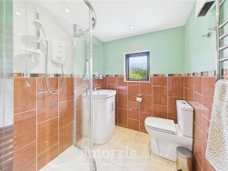 Feidr Brenin, Newport, SA42