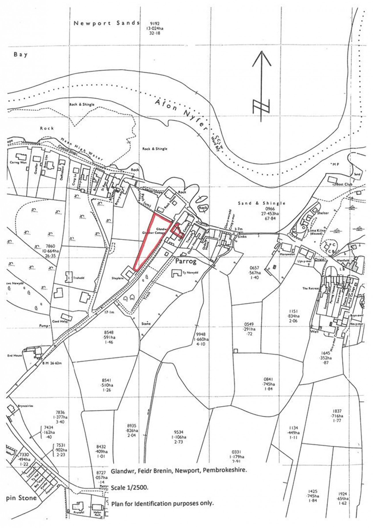 Feidr Brenin, Newport, SA42