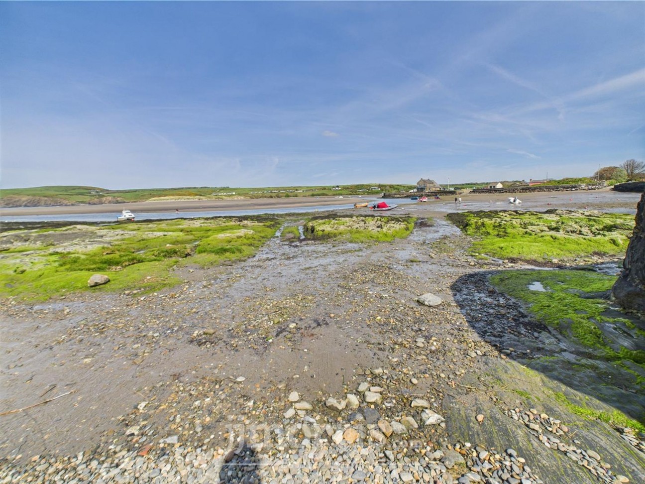 Feidr Brenin, Newport, SA42