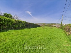 Feidr Brenin, Newport, SA42