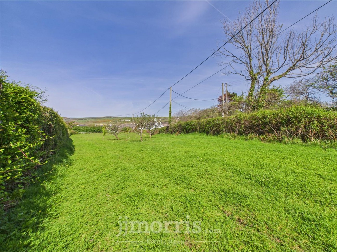 Feidr Brenin, Newport, SA42