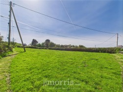 Feidr Brenin, Newport, SA42