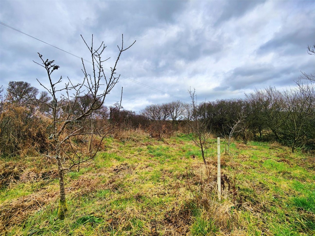 Llandeloy, Haverfordwest, SA62