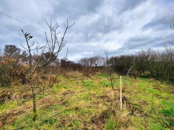 Llandeloy, Haverfordwest, SA62