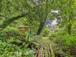 Pontfaen, Fishguard, SA65