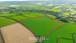 Dolgoch, Brongest, SA38