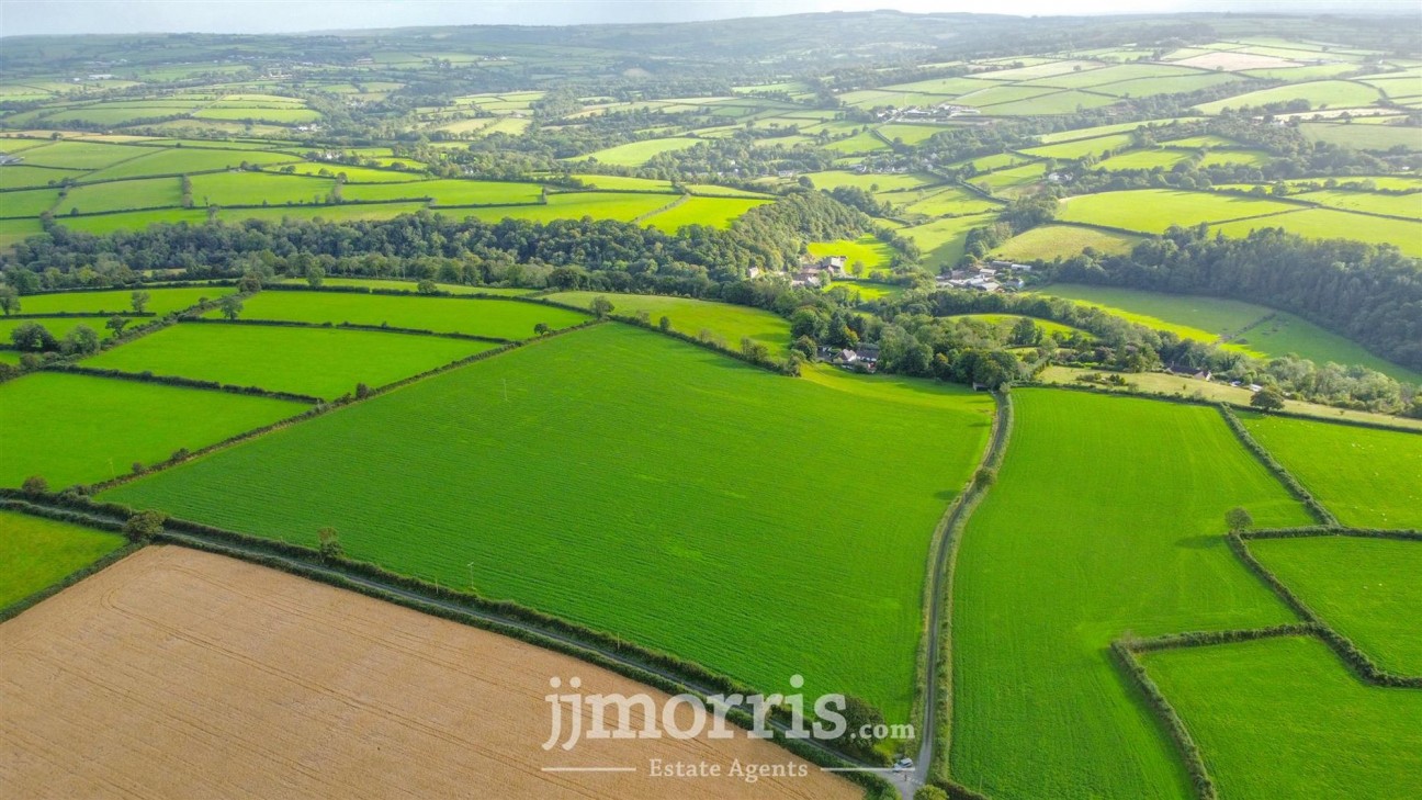 Dolgoch, Brongest, SA38