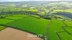 Dolgoch, Brongest, SA38