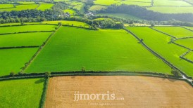 Dolgoch, Brongest, SA38