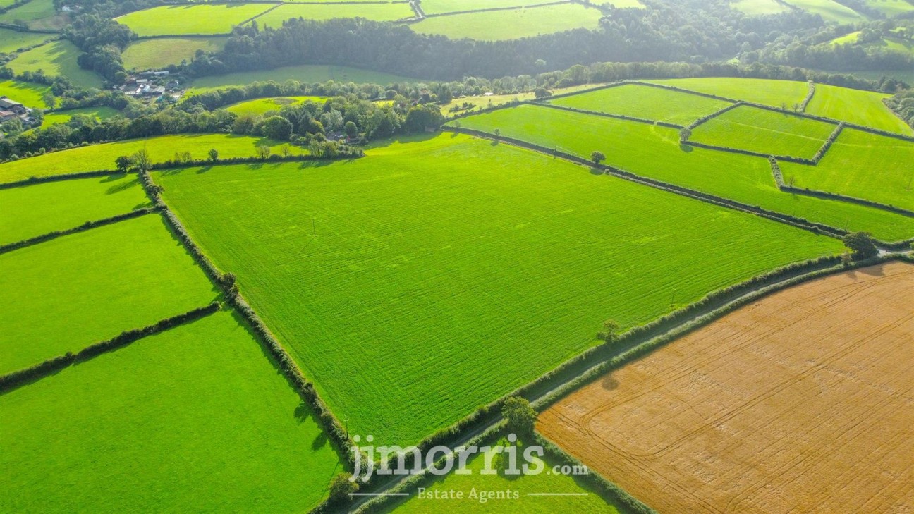 Dolgoch, Brongest, SA38