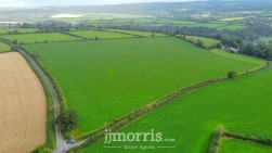 Dolgoch, Brongest, SA38