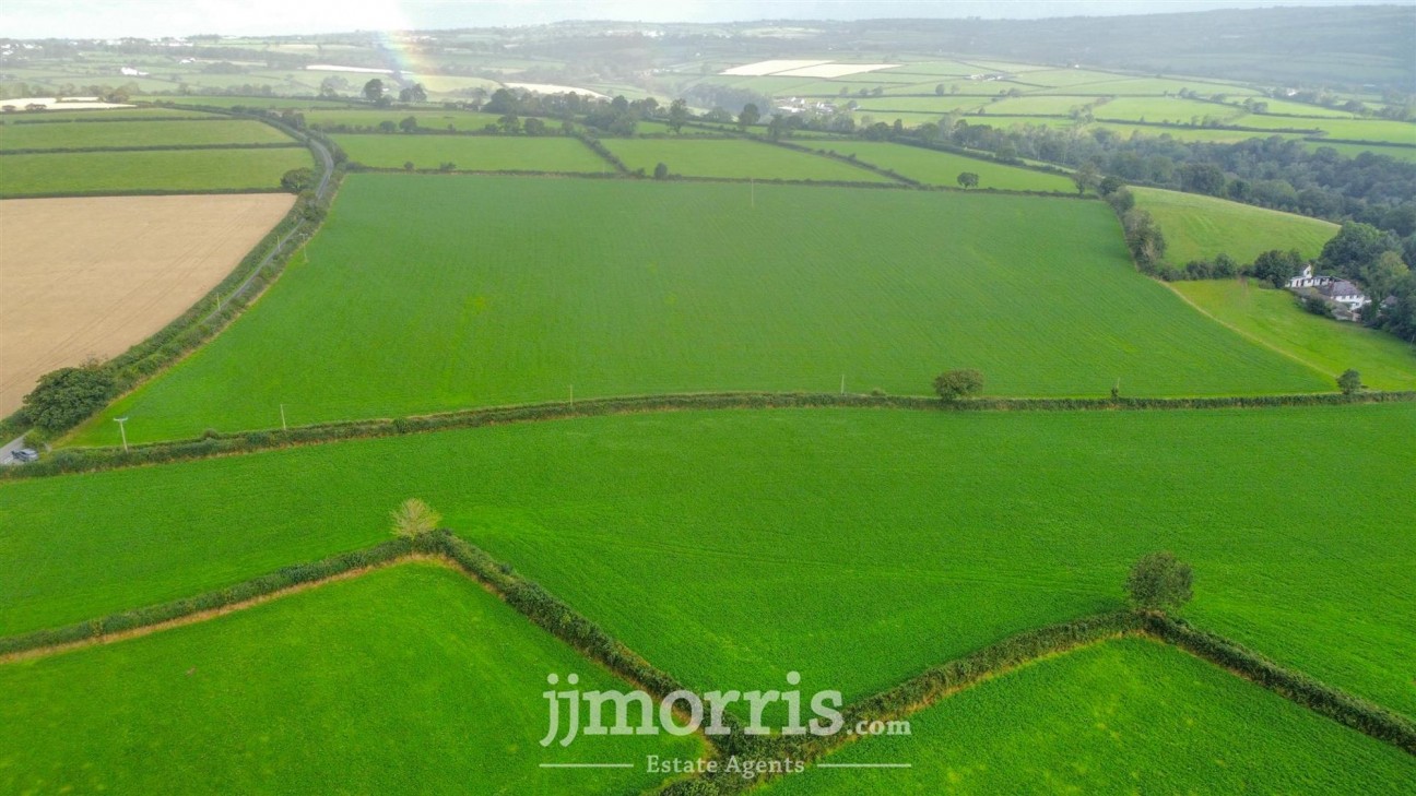 Dolgoch, Brongest, SA38