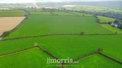 Dolgoch, Brongest, SA38