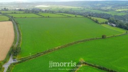 Dolgoch, Brongest, SA38