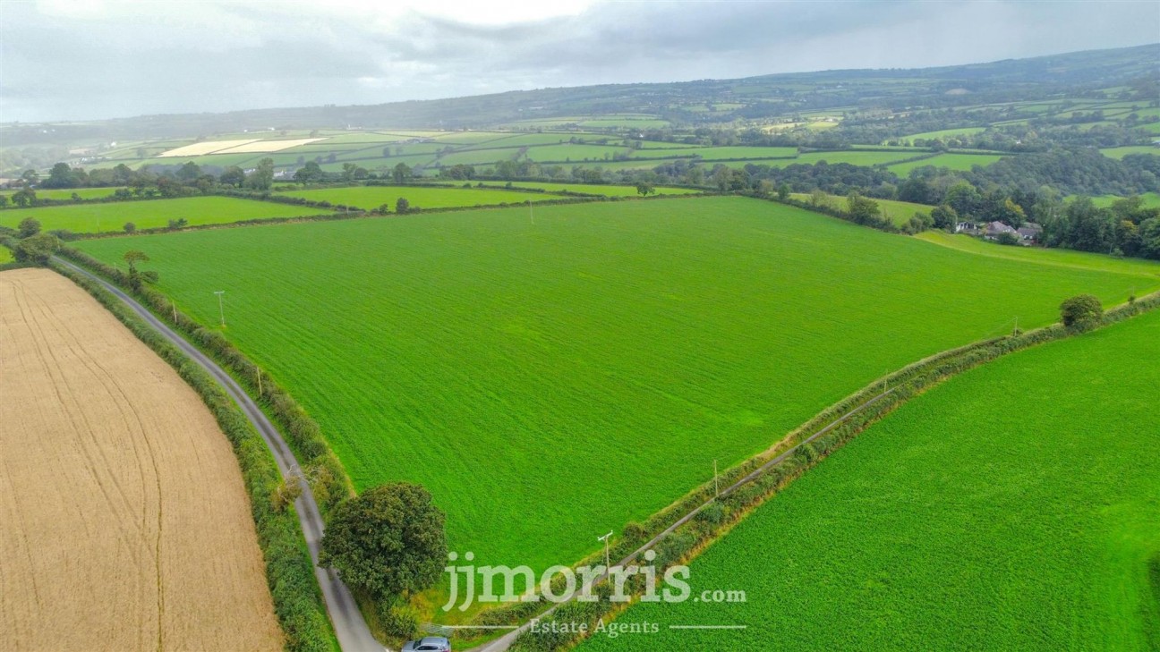 Dolgoch, Brongest, SA38