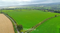 Dolgoch, Brongest, SA38