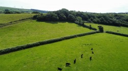 Sylen Road, Pontyberem, SA15