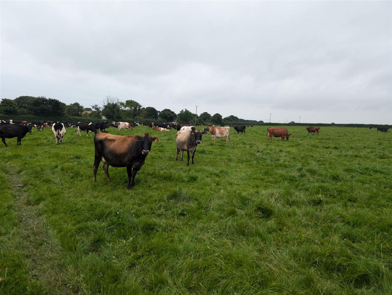 Hayscastle, Haverfordwest, SA62