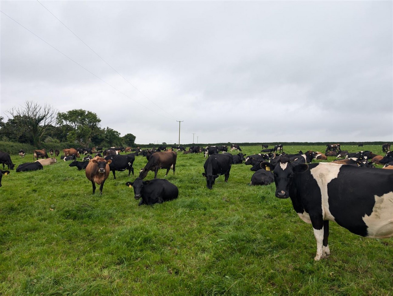 Hayscastle, Haverfordwest, SA62