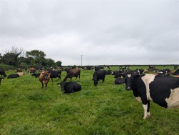 Hayscastle, Haverfordwest, SA62