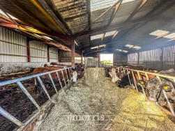 Cwmbach, Whitland, SA34