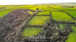 Cwmbach, Whitland, SA34