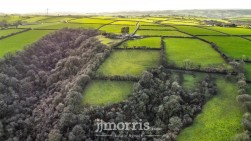 Cwmbach, Whitland, SA34