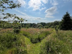 Cwmbach, Whitland, SA34