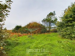 St. Davids, Haverfordwest, SA62